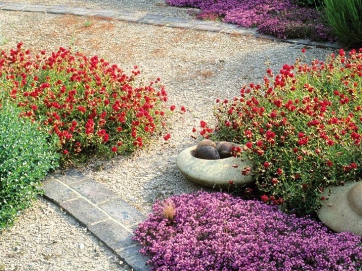 Decorative Stones For Flower Beds 27 Best Katie And Ron'S Edible English Garden Images On Photo 714