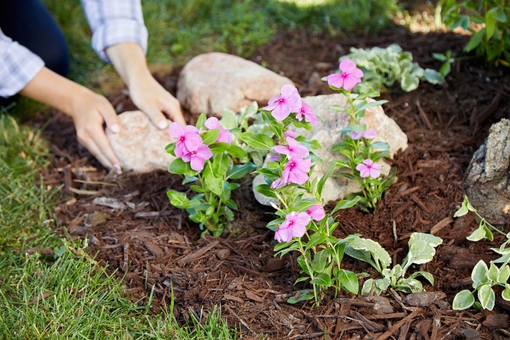 Decorative Stones For Flower Beds How To Landscape Around Trees | Better Homes &amp; Gardens Photo 421