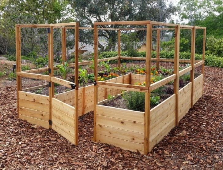 Deer Resistant Vegetables 8’X12′ Complete Vegetable Garden Kit – Deer Proof Picture 164