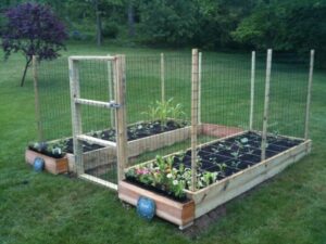 Deer Resistant Vegetables Deer Proof Garden 8 #Vegetablegarden # Photo 376