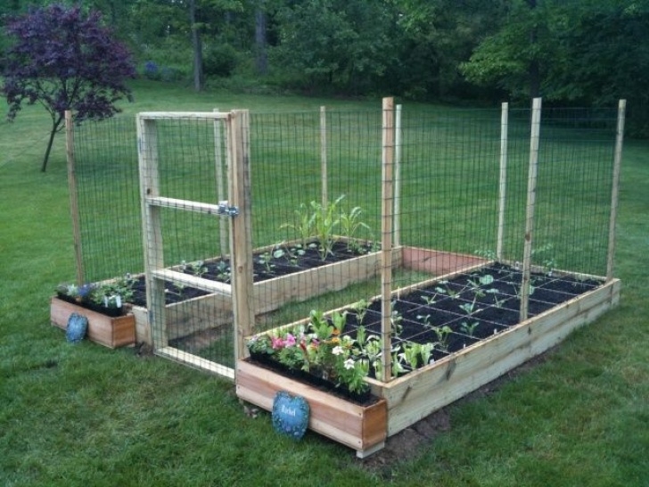 Deer Resistant Vegetables Deer Proof Garden 8 #Vegetablegarden # Photo 376