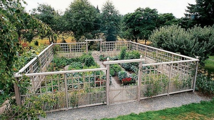 Deer Resistant Vegetables Deer-Proof Garden Fence Ideas | Deer Resistant Garden Picture 084