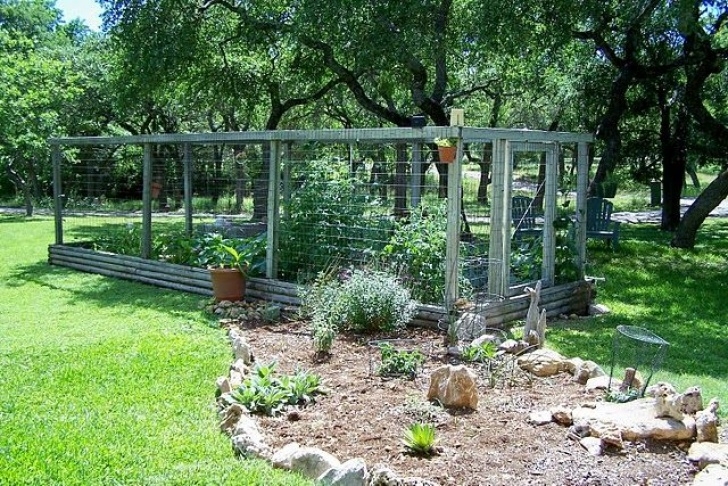 Deer Resistant Vegetables Deer Proof Garden - This Is All I Need!!! | Chesterville Photo 476