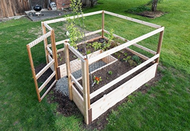 Deer Resistant Vegetables Deer-Proof Just Add Lumber Vegetable Garden Kit - 8'X8 Photo 957