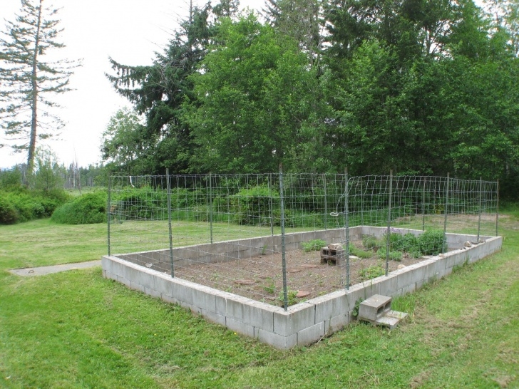 Deer Resistant Vegetables Deer Proof Vegetable Garden |  Ft Deer Proof Fence Picture 059