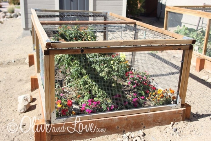 Deer Resistant Vegetables Deer Proofing Vegetable Garden | Vegetable Garden Planning Image 730