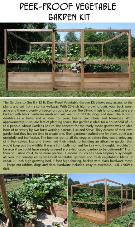 Deer Resistant Vegetables Top 10 Cool Garden Planters Photo 896