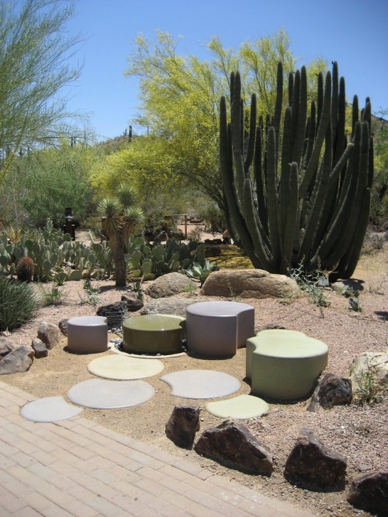 Desert Style Landscaping Awesome Desert Landscaping Ideas With Lovely Desert Plants Picture 659