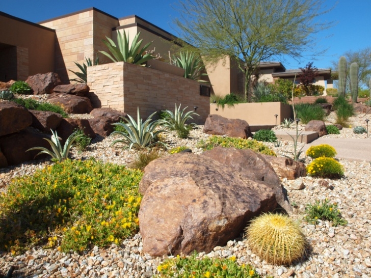 Desert Style Landscaping Desert Bloom On Knpr 88.9 - Schilling Horticulture Image 323