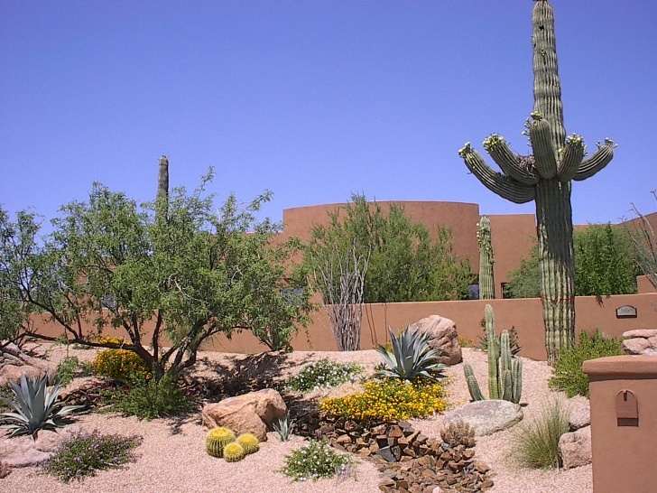 Desert Style Landscaping Featured Project Gallery Photo 015