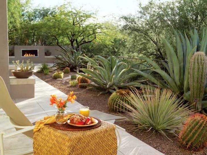 Desert Style Landscaping How To Give Your Desert Backyard Southwestern Flair Picture 867