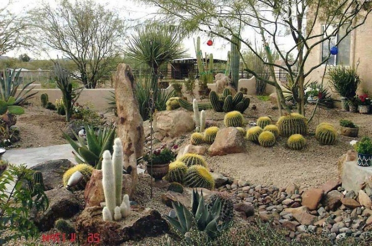 Desert Style Landscaping Inexpensive Landscaping Ideas For The Outstanding Results Photo 962