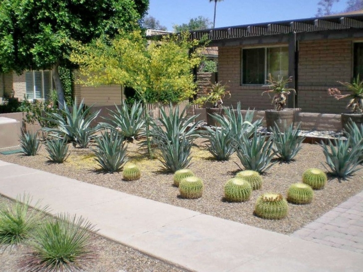 Desert Style Landscaping Modern Garden Landscape Design - Phoenix, Scottsdale (With Photo 393
