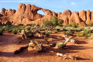 Devils Garden Campground Devils Garden Arches National Park | Skyline Arch Near Picture 227
