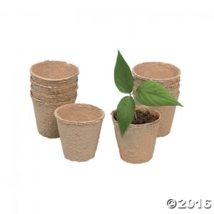 Diy Biodegradable Pots Diy Watch It Grow Seed Pots | Flower Pots, Biodegradable Picture 281