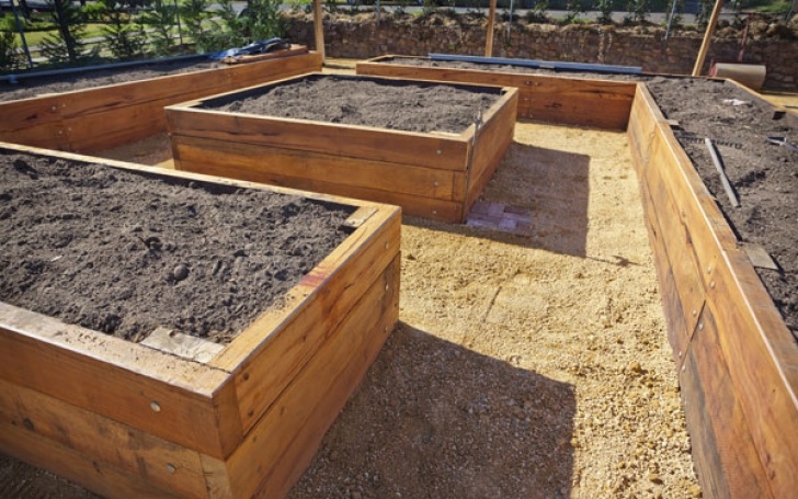 Diy Cedar Raised Garden Bed Beginner Raised Bed Gardening Guide | Planet Natural Image 327