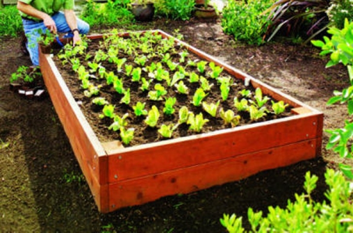 Diy Cedar Raised Garden Bed Home [Www.minifarmlife] Picture 529