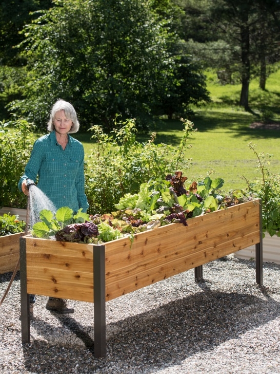 Diy Cedar Raised Garden Bed Planter Boxes: Elevated Cedar Planter Box | Orders $99 Photo 755
