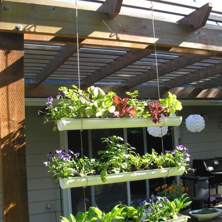Diy Network Gutter Garden 12 Easy Herb Garden Designs You Can Do Herb Gardening Image 630