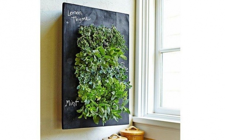 Diy Network Gutter Garden Space Saving Diy Vertical Gardens | The Owner-Builder Picture 474