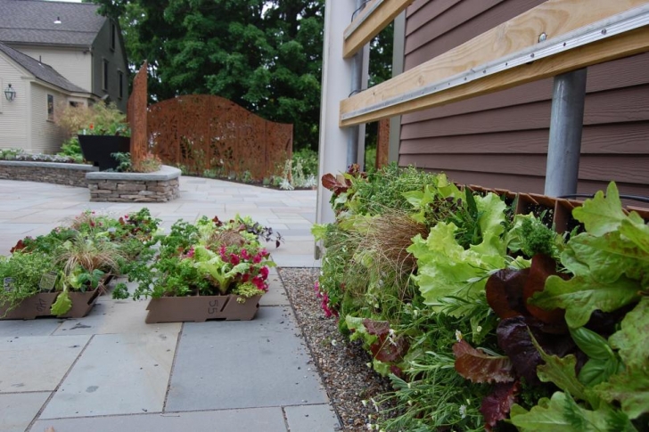 Diy Network Gutter Garden Vertical Gardens | Diy (With Images) | Vertical Garden Image 338