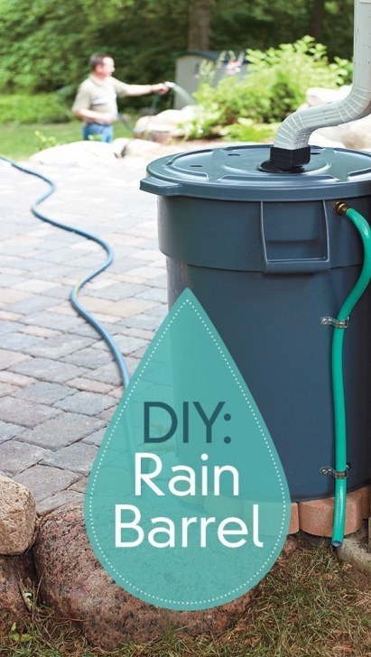 Diy Rain Garden 3 Top Diy Rain Barrel Ideas To Gather Water For Garden Picture 342
