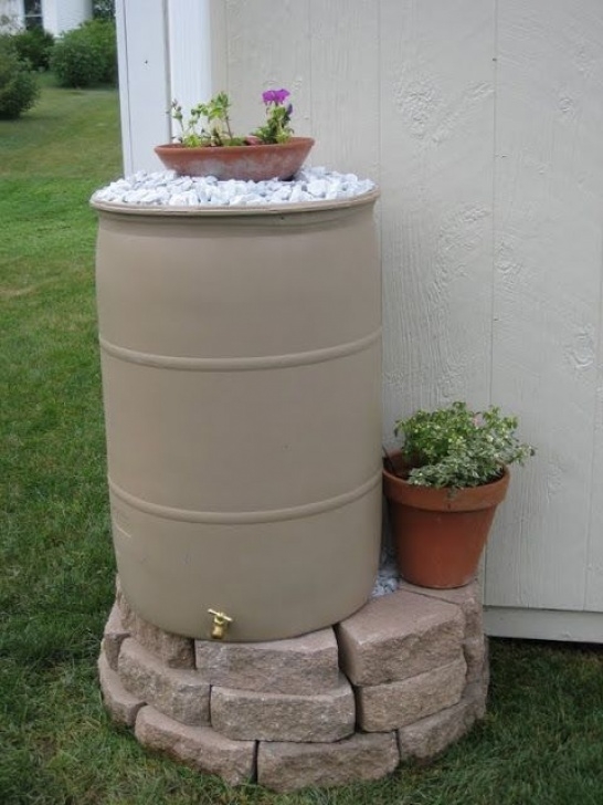 Diy Rain Garden 3 Top Diy Rain Barrel Ideas To Gather Water For Garden Picture 458