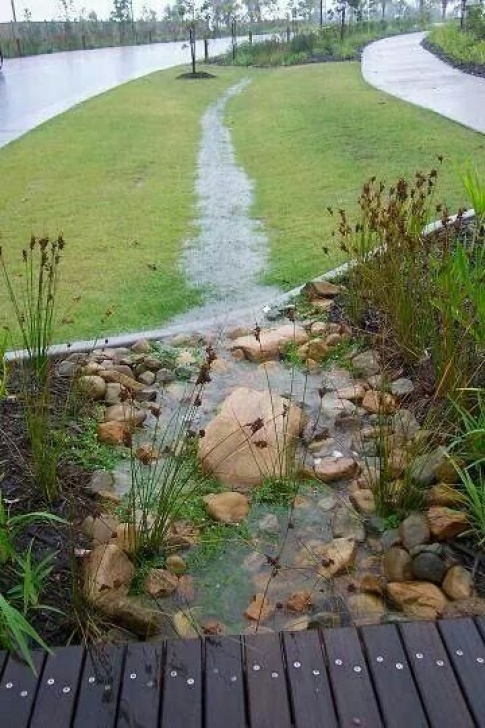 Diy Rain Garden Bioswale | Rain Garden Design, Landscape Design, Garden Steps Image 218