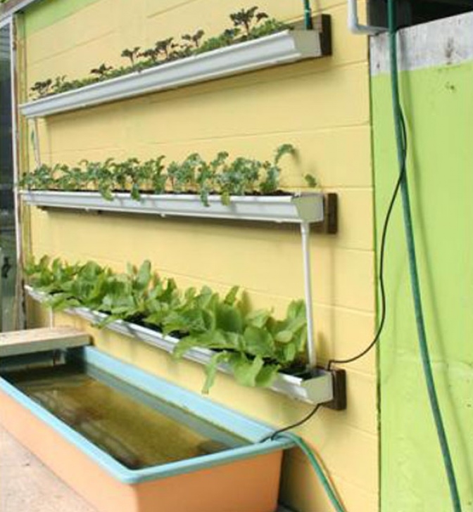 Diy Rain Garden How To Set Up An Aquaponic Gutter Garden… – Eco Snippets Image 499