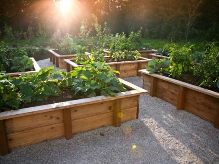 Diy Raised Vegetable Garden Tips For Creating Raised Bed Planters | Diy Picture 329