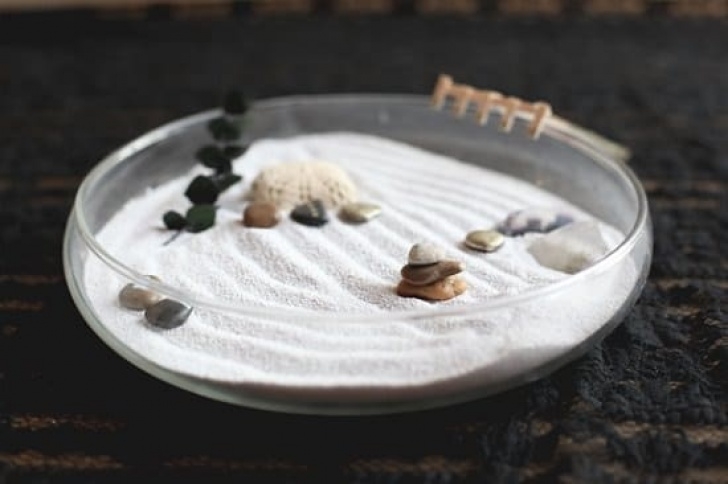 Diy Tabletop Zen Garden 13 Diy Mini Zen Garden Ideas For Desk | Balcony Garden Web Picture 090