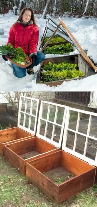 Diy Winter Garden 106377 Best Great Gardens & Ideas Images On Pinterest Picture 151