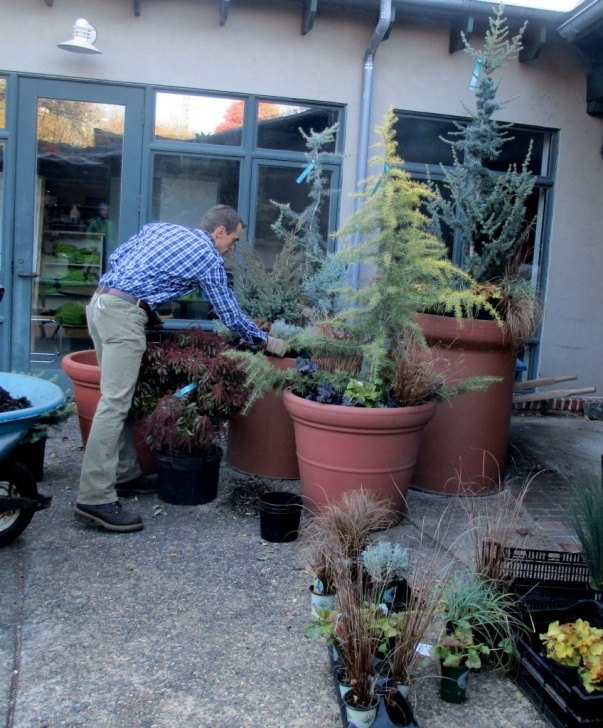 Diy Winter Garden Diy ~ Winter Containers Workshop – Our Fairfield Home & Garden Picture 126