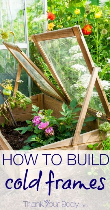 Diy Winter Garden How To Build Cold Frames | Cold Frame, Vegetable Garden Image 276