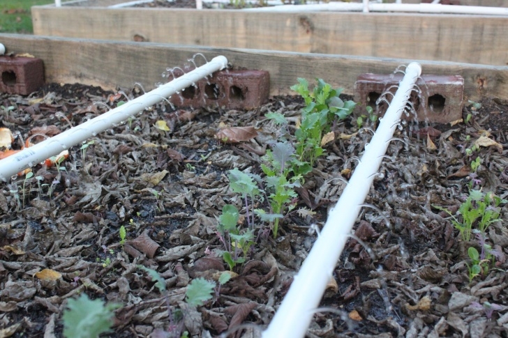Drip Irrigation For Raised Beds Irrigation For Raised Bed Gardening - Modern Homemakers Image 114