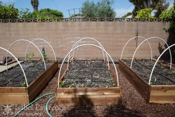 Drip Irrigation For Raised Beds Raised Bed With Drip Irrigation System | Raised Garden Photo 955