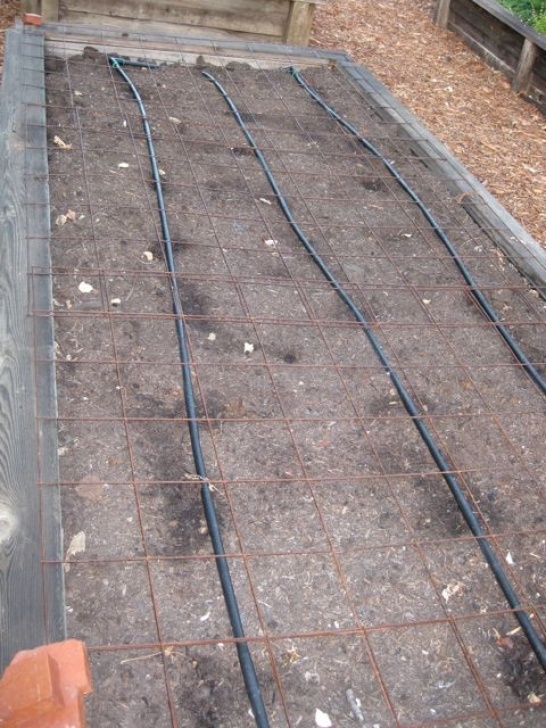 Drip Irrigation For Raised Beds The Farmer Fred® Rant: Wilting Plants? Check Soil Moisture Image 043