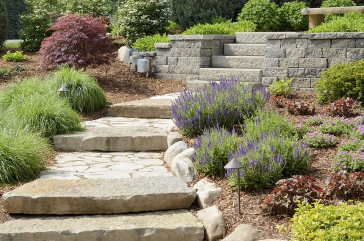 Drought Friendly Yard Eco-Friendly, Drought-Tolerant Lawn Alternatives Picture 594