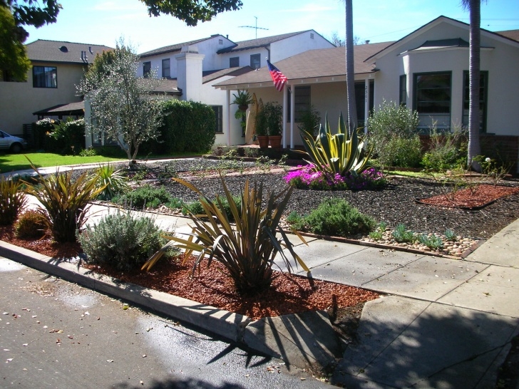 Drought Friendly Yard Eco-Friendly Landscape – Sustainable Construction Services Photo 533