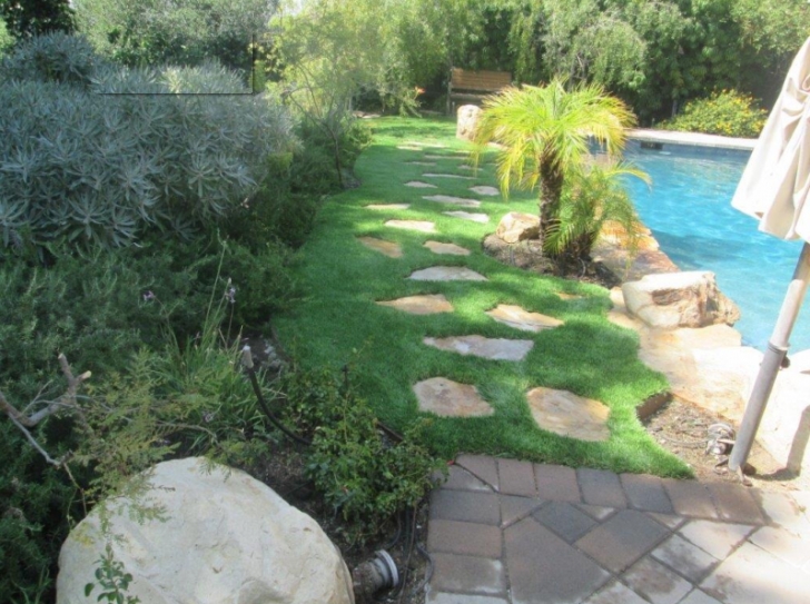 Drought Friendly Yard Get A New Drought Friendly Yard, Artificial Turf, Roof Photo 860
