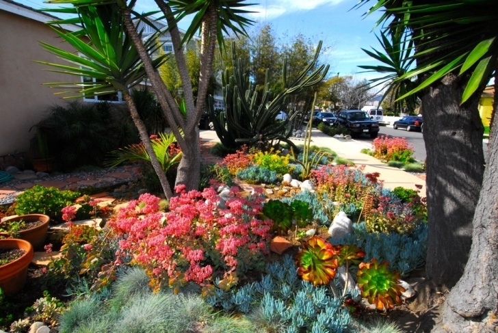 Drought Friendly Yard Rip Out Your Lawn, Then Rip Open An Envelope Of Cash In La Image 777