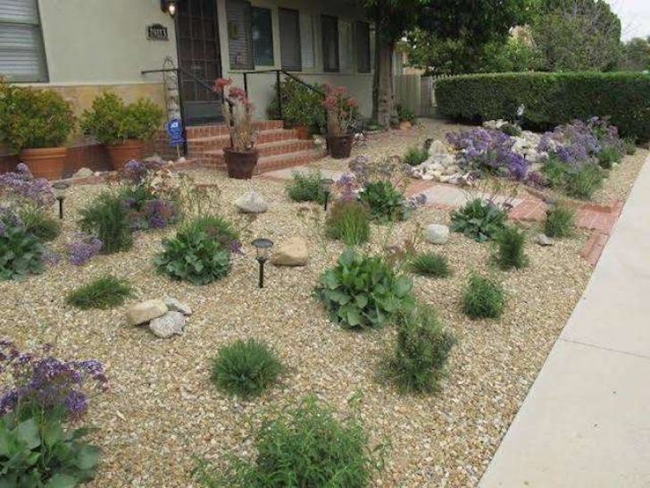 Drought Friendly Yard Turf Rebate Program Extends Water Conservation Efforts Photo 769