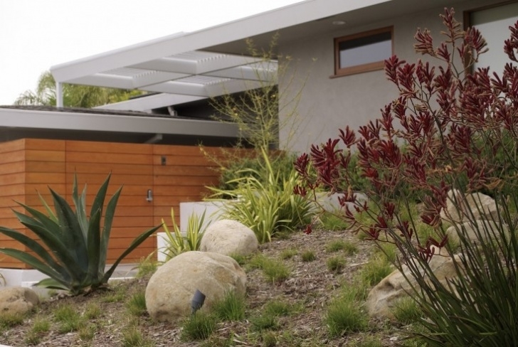 Drought Tolerant Front Yard Designer Visit: Grow Outdoor Design'S Drought Tolerant Photo 416