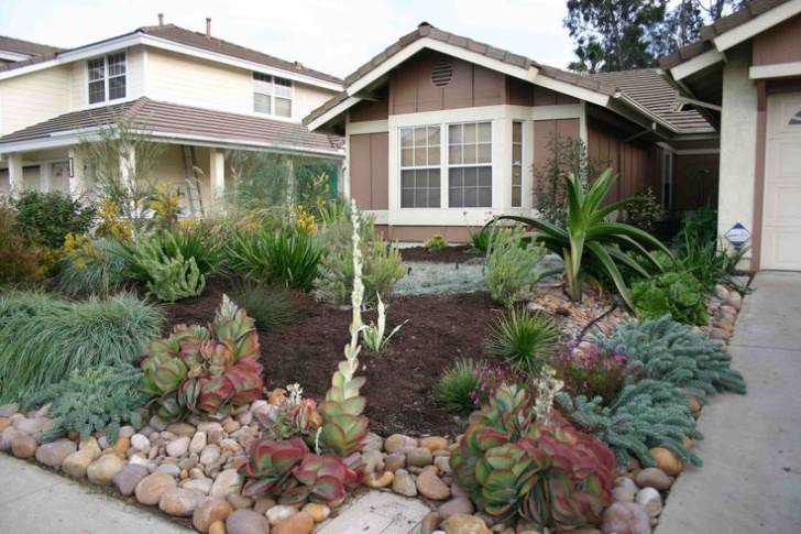 Drought Tolerant Front Yard Drought Resistant Front Yard Using Rocks, Bark And Plants Image 560