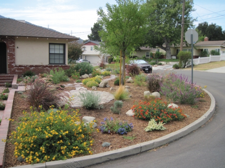 Drought Tolerant Front Yard Drought Tolerant Landscaping - City Of Redlands Image 145