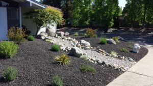Drought Tolerant Front Yard Drought Tolerant Landscaping | Folsom &amp; Sacramento Image 447