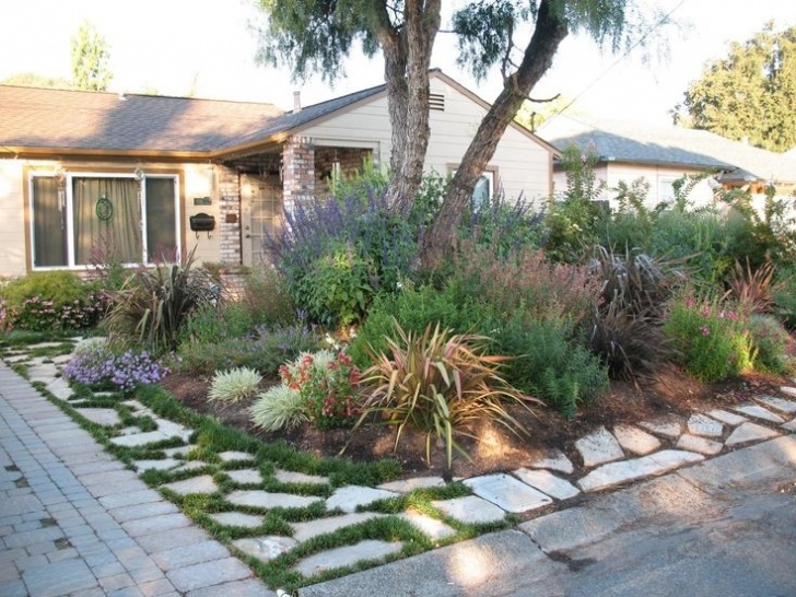 Drought Tolerant Front Yard Plantworld - Before-And-After Photos Alamo Resi… | Drought Picture 567