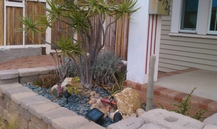 Drought Tolerant Front Yard The Matt N Jef Show: Drought Tolerant Front Yard Image 312
