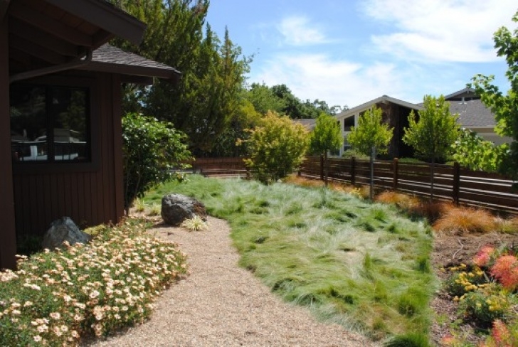 Drought Tolerant Front Yard What Does A Water-Wise, Drought Tolerant Yard Look Like Image 491