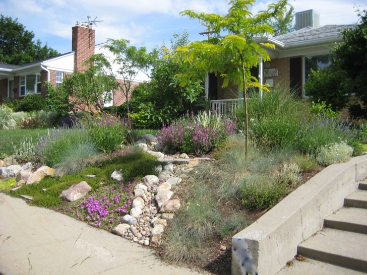 Drought Tolerant Landscape Plants Considering Drought Tolerant Landscaping For Cheap And Be Photo 223